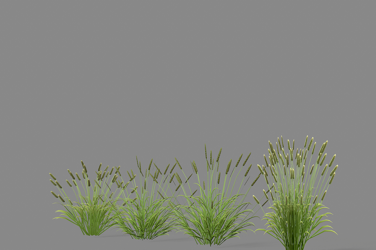 Shrub 2, an Environmental 3D Model by AndrewWhite (Photo 7 of 14)