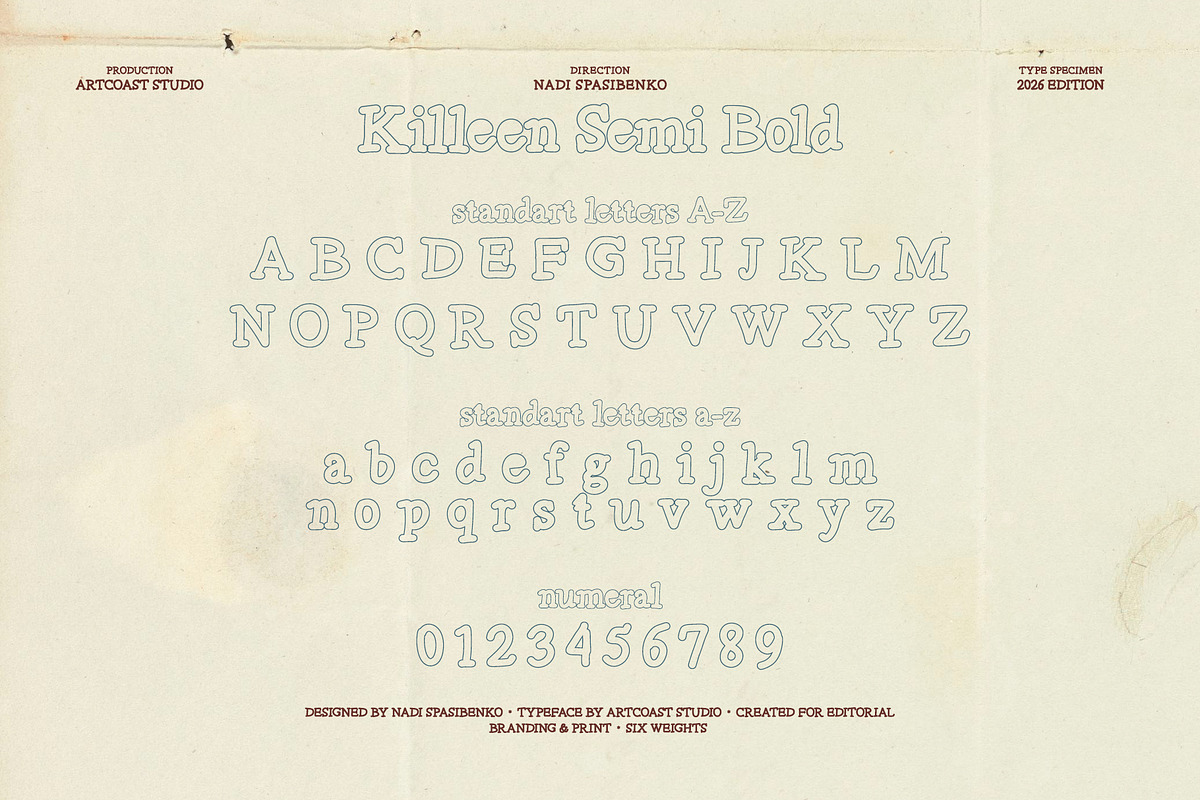 Killeen Font Family, a Serif Font by nadispasibenko (Photo 10 of 12)