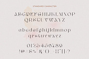 Milven || Modern Classic Serif, a Serif Font by BrandSemut (Thumbnail 13 of 13)