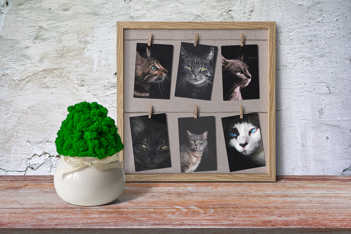 Photo Frame with Clips 6K, a Product Mockup by Zabiegala MP (Photo 6 of 10)
