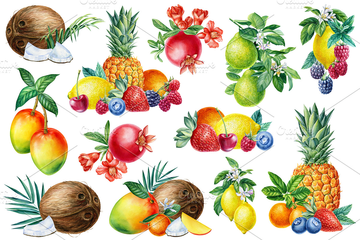 Watercolor fruits clipart, an Illustration by Hanna Hryharenka (Photo 12 of 14)