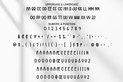 Yesterday | Script Font, a Script Font by Scratchones (Thumbnail 7 of 8)