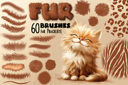 60 Fur Brush Set for Procreate, a Brush Add-On by Elenbushe (Thumbnail 1 of 4)