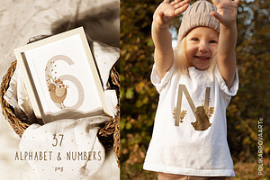 Warm Autumn Baby Collection