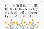 Qiona Elegant Modern Serif Font, a Serif Font by timelesstype.co (Thumbnail 16 of 20)