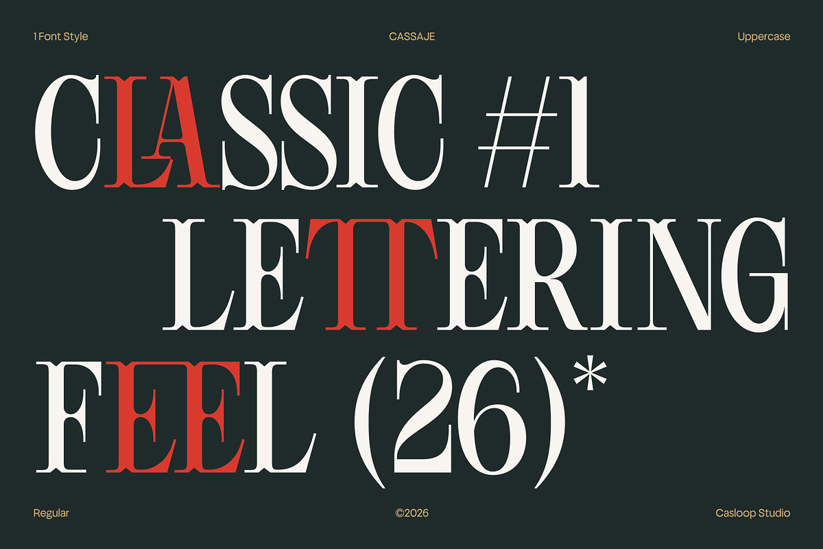 Cassaje – One Case Endless Presence, a Serif Font by Casloop Studio (Photo 3 of 10)