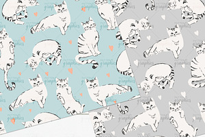 Cute Cat Pattern - Pretty House Cat