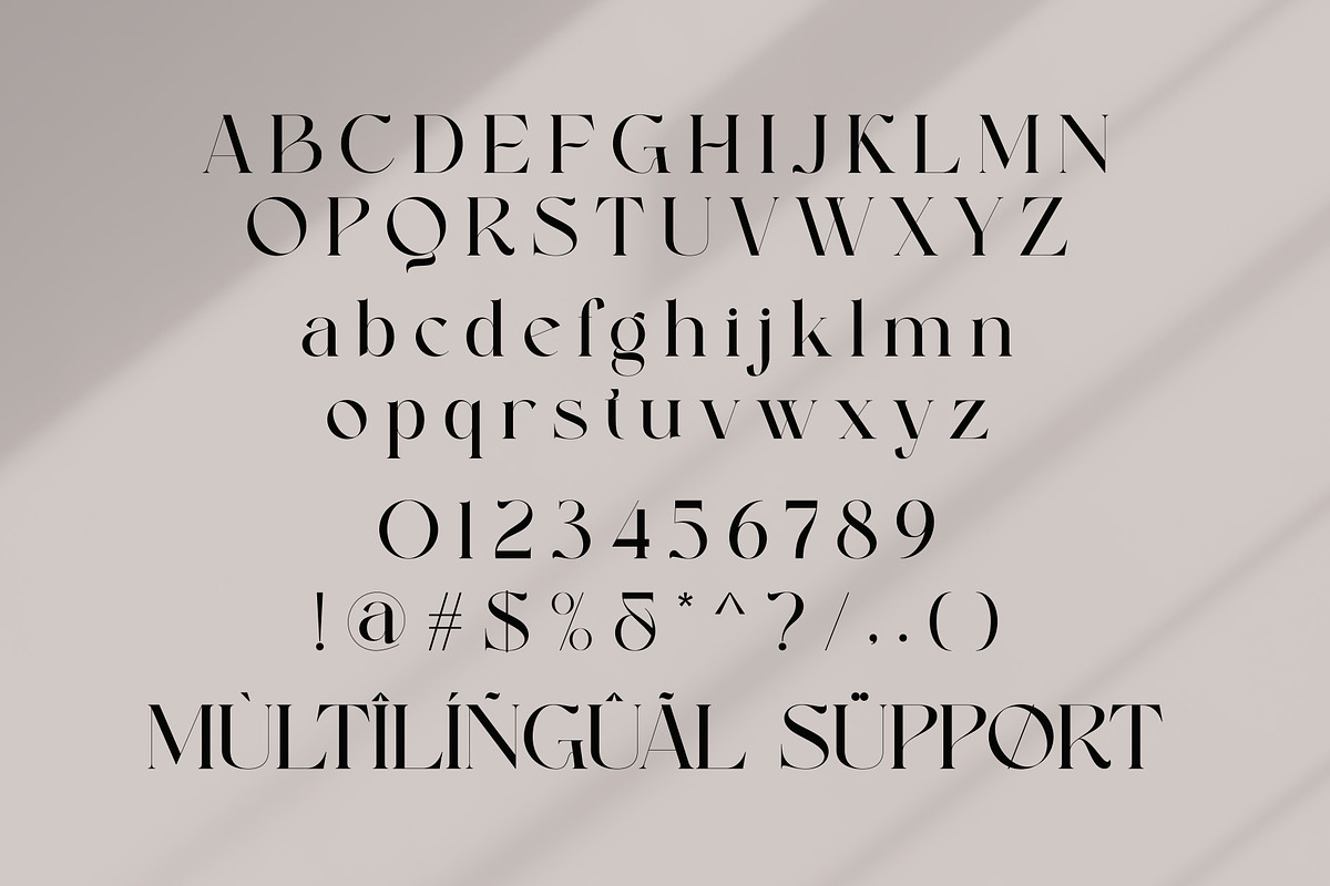 Gabule Modern Elegant Serif, a Serif Font by Alfinart (Photo 9 of 10)