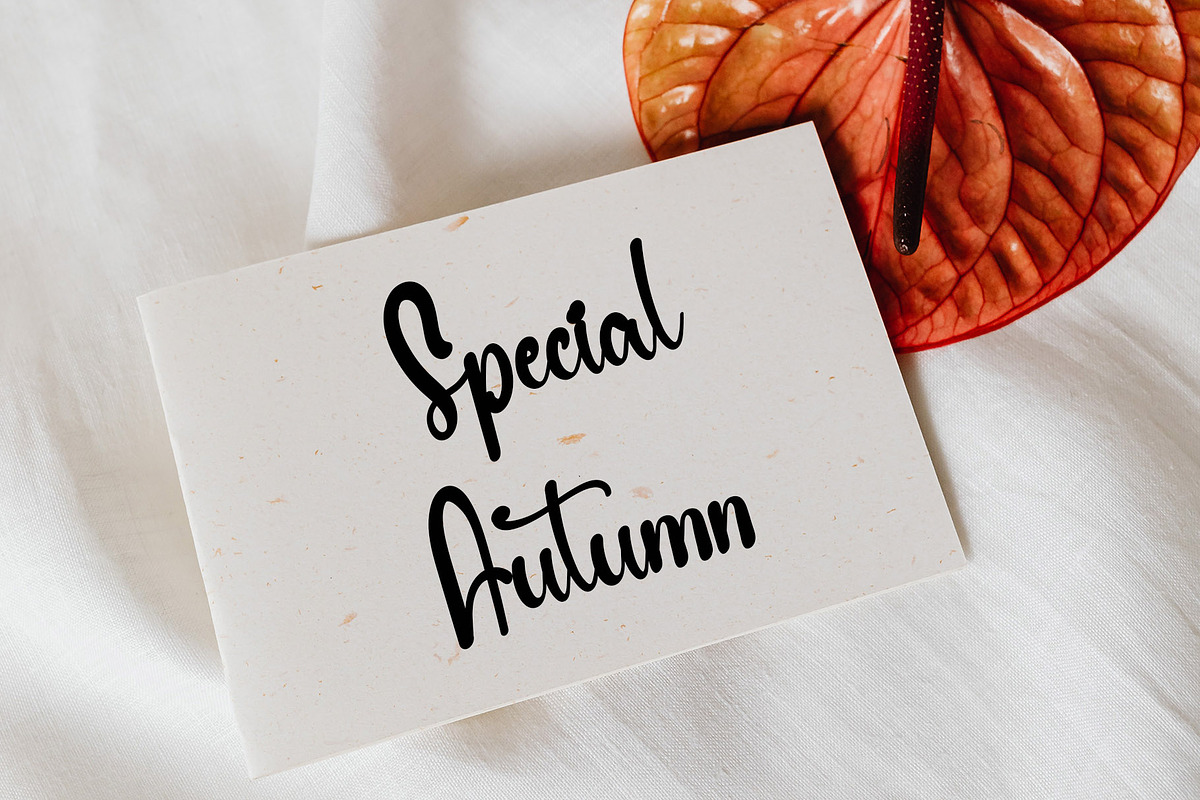 Sweet January, a Handwritten Font by FreshTypeINK (Photo 6 of 7)