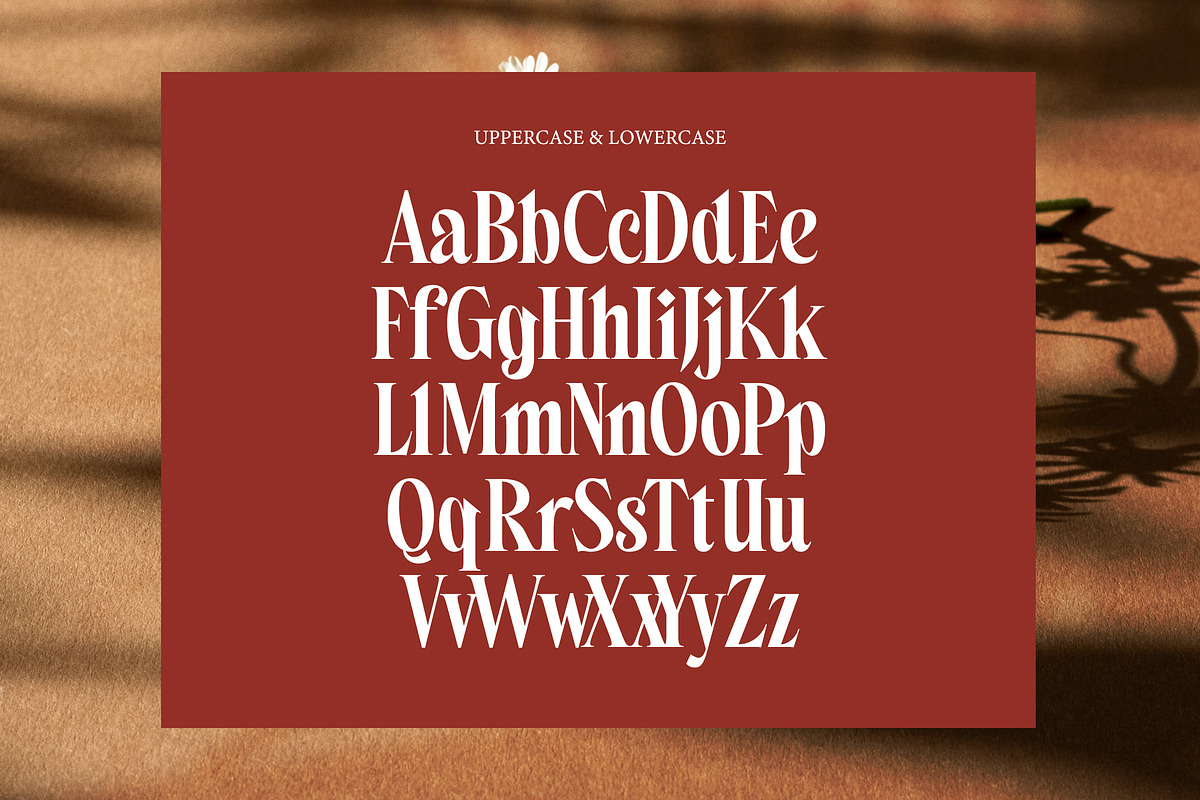 Belagu Modern Display Serif Font, a Serif Font by timelesstype.co (Photo 11 of 20)