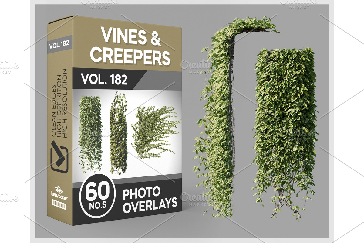 60 Vines & Creepers Photo Overlays, a Nature Photo by KenScape (Photo 1 of 3)