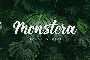 Monstera Brush Script
