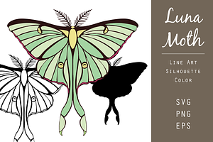 Luna Moth Vector Graphic Set