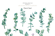 Medicine Vintage collection, a Healthcare Illustration by CrystalinaShop (Thumbnail 6 of 10)