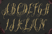 Wanderin Autumn Artisan Floral font, a Script Font by HypeWorksCo (Thumbnail 24 of 28)