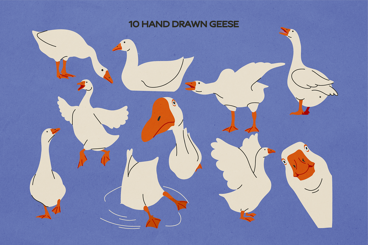 Silly Goose: Hand Drawn Illustration, an Animal Illustration by Pamcake (Photo 2 of 7)