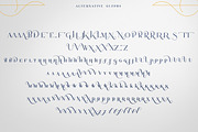 SALE! Lotus Eater - Vintage Font, a Font by VP Fonts (Thumbnail 10 of 12)