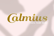 Calmius EB Italic, a Serif Font by NREY (Thumbnail 1 of 8)
