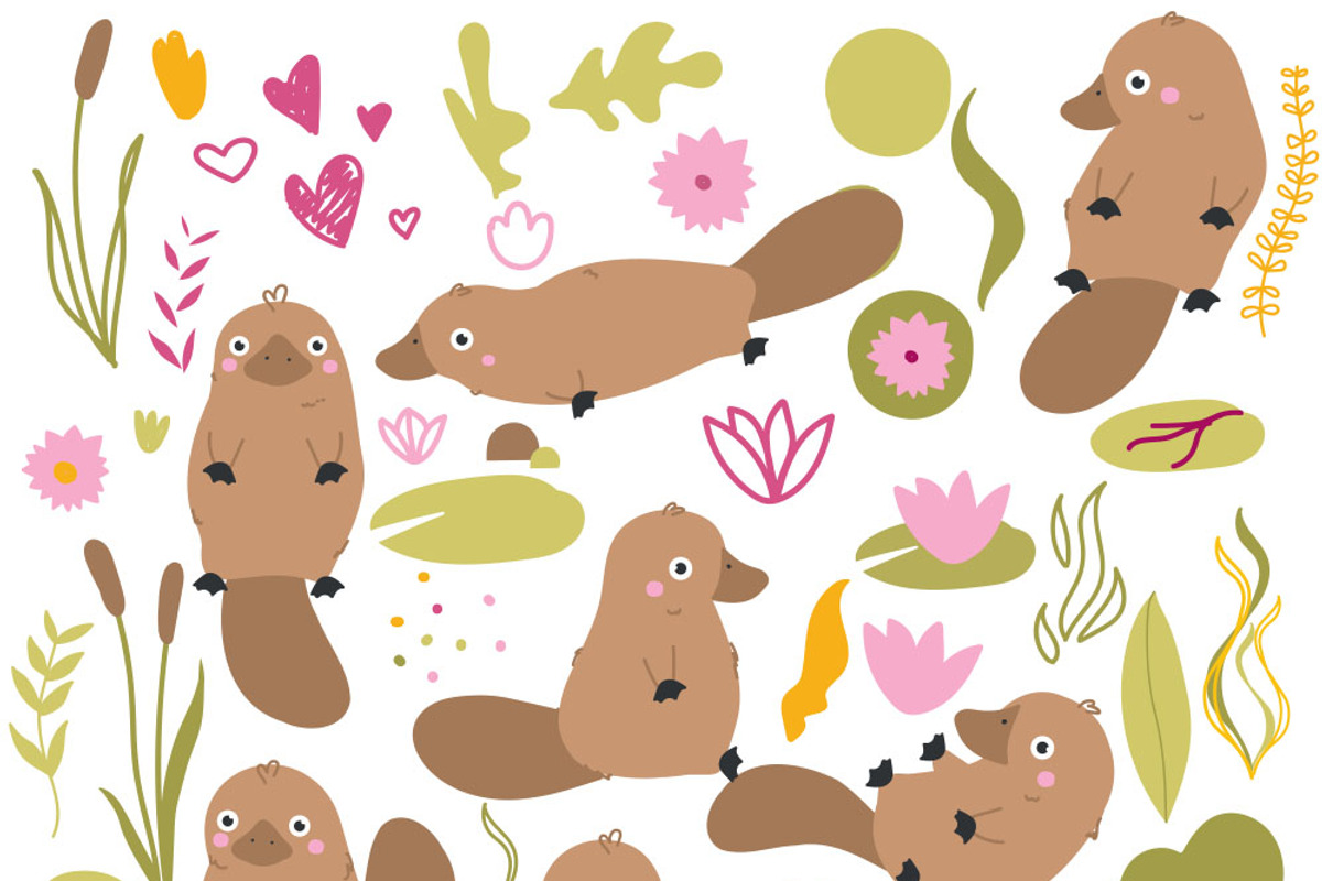 Platypus + BONUS 84 element, a Pattern Graphic by Lineli (Photo 2 of 8)