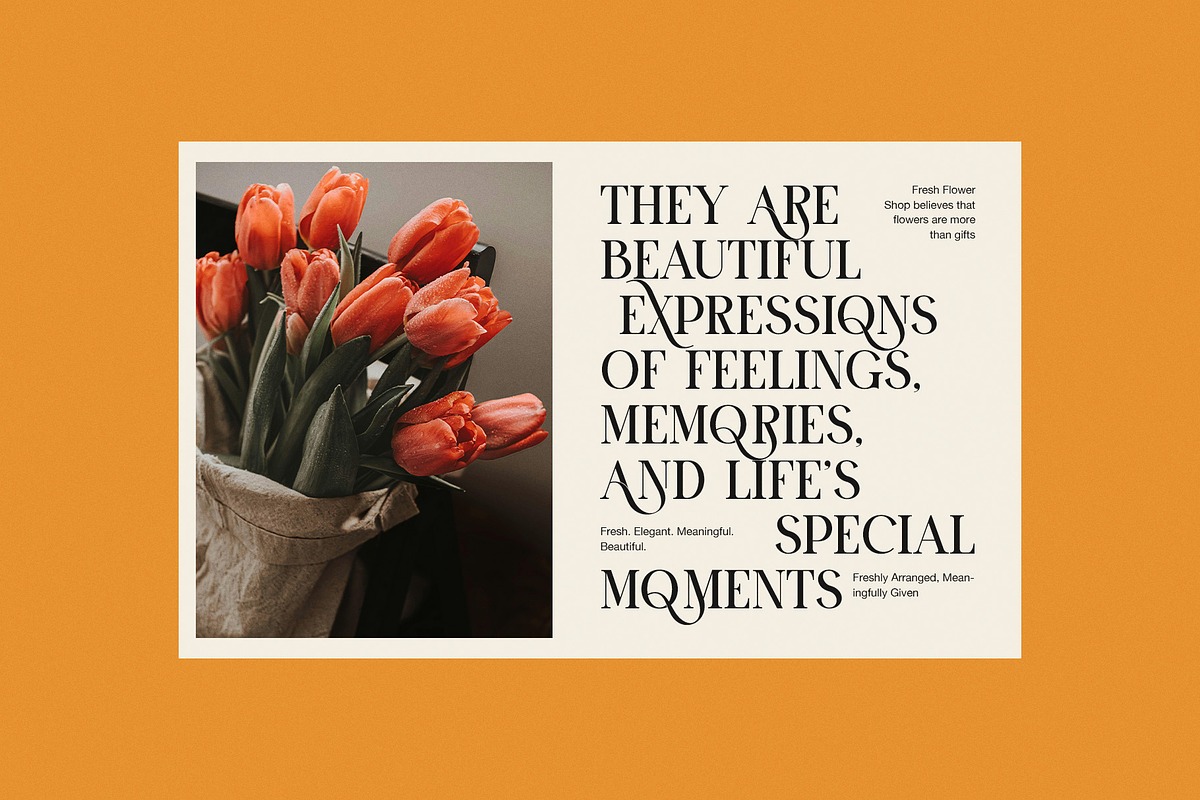 Moner Elegant Serif Font, a Serif Font by Perfectype (Photo 3 of 8)