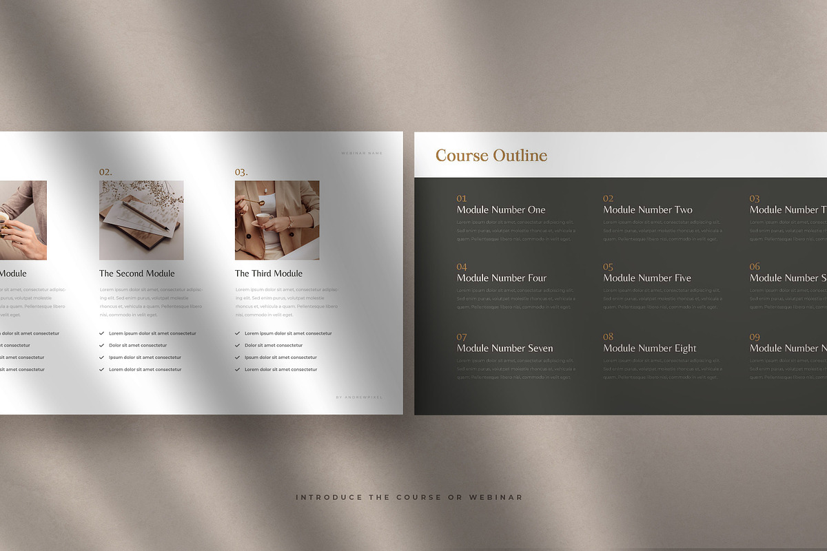 CANVA Slide Deck For eCourse/Webinar, a Marketing Template by AndrewPixel (Photo 4 of 13)