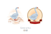 Farm birds set, an Animal Illustration by Countryside life (Thumbnail 9 of 12)