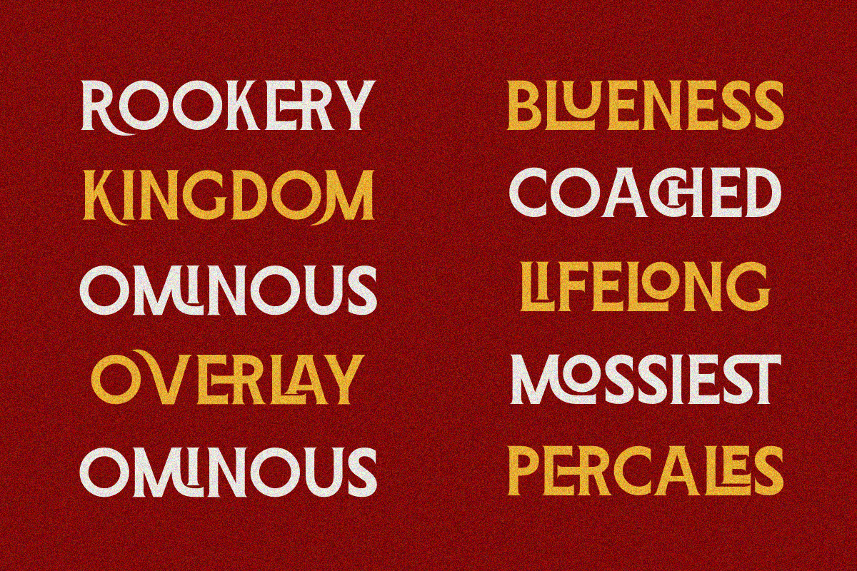 Gothica Modern Gm, a Serif Font by Zafiratype (Photo 4 of 15)