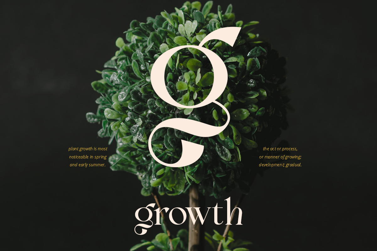 Bon Foyage - Vintage Modern Serif, a Serif Font by Dharmas Foundry (Photo 7 of 15)