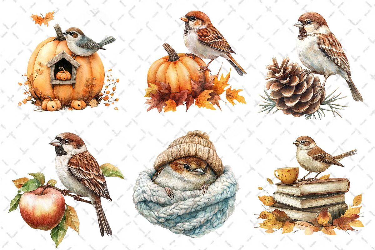 Autumn Sparrows Bird Clipart, an Illustration by Dream Creation (Photo 4 of 6)