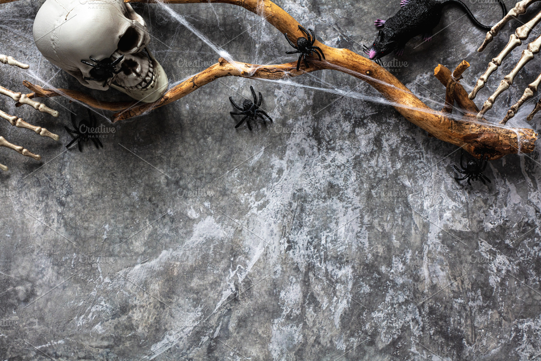 Halloween background with spooky skull, tree branch with web, spiders, black ra, a Holiday Photo by photoguns