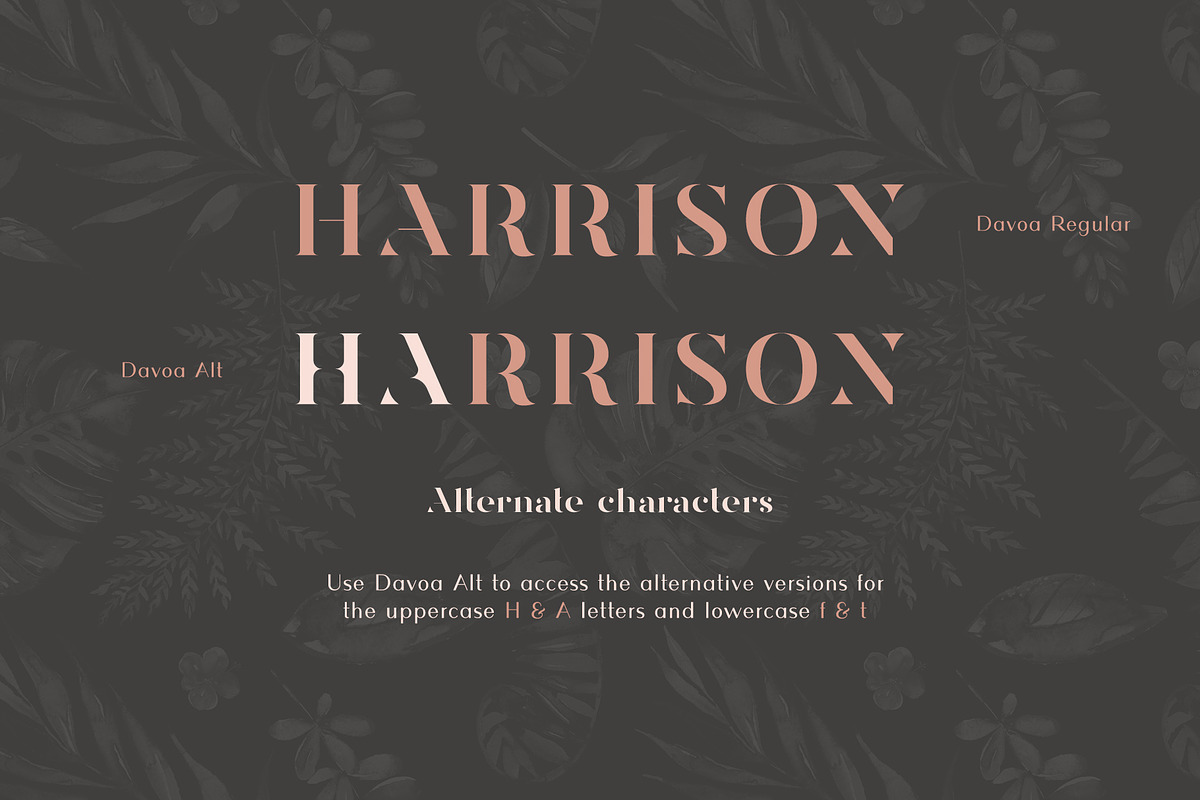 Davoa - Elegant Stencyl Typeface, a Serif Font by AlienValley (Photo 8 of 9)