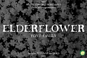 Elderflower Serif Font, a Serif Font by CozyPersimmon