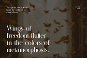 Qeittan Modern Serif Font, a Serif Font by Perfectype (Thumbnail 5 of 6)