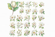 White Magnolia Watercolor Clipart, an Illustration by Libby Wishes (Thumbnail 5 of 7)