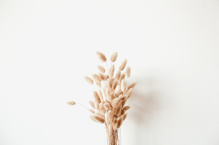 Fluffy plant bouquet, an Arts & Entertainment Photo by Floral Deco