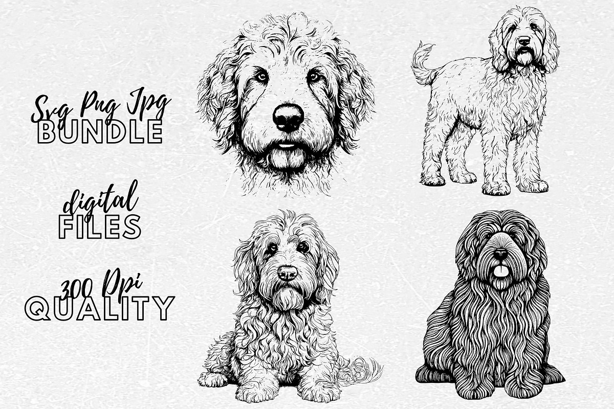Labradoodle SVG - Dog Clip Art, an Illustration by YouniqueArtwork (Photo 1 of 5)