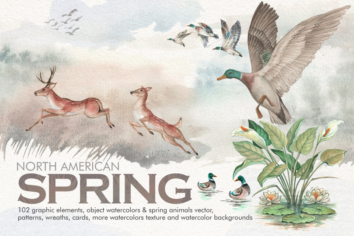 Watercolor North American Spring, an Illustration by Graphobia (Photo 1 of 10)