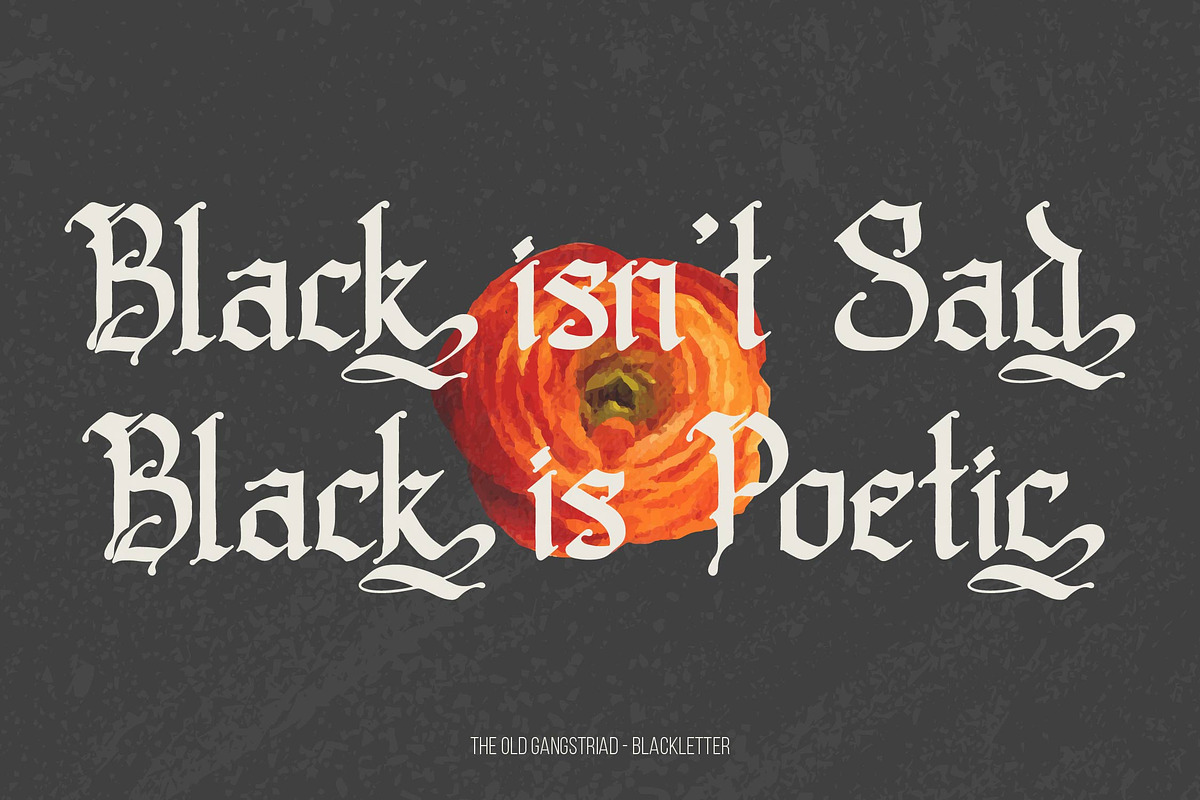 Old Gangstriad Blackletter Typeface, a Blackletter Font by Denustudios (Photo 2 of 14)
