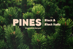 Pines Black & Pines Black Italic