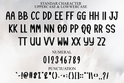 Rustic Handmade, a Script Font by FreshTypeINK (Thumbnail 4 of 8)