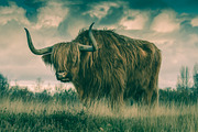 300 Professional Lightroom Presets, an Action Add-On by Madison Colt Studios (Thumbnail 17 of 29)