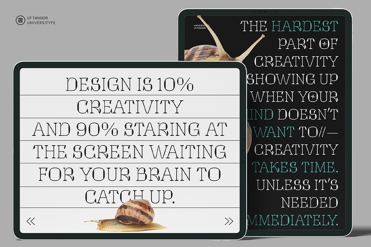 UT Tangor - A Decorative Serif, a Serif Font by Universitype (Photo 6 of 12)