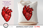 Anatomical Heart Clipart, an Illustration by SLS Lines (Thumbnail 4 of 5)