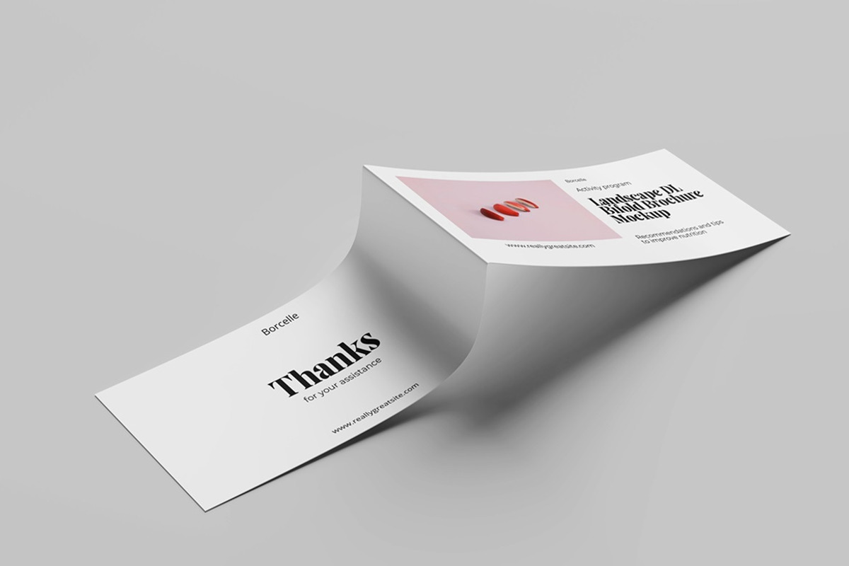 DL Bifold Borchure Mockup, a Books & Magazine Mockup by Tokobeta (Photo 4 of 8)