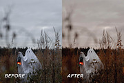 15 Spooky Season Lightroom Presets, a Preset Add-On by TheWayfarerShoppe (Thumbnail 3 of 9)