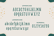 Savilla - A Playful Serif Font, a Serif Font by Typefactoryco (Thumbnail 2 of 8)