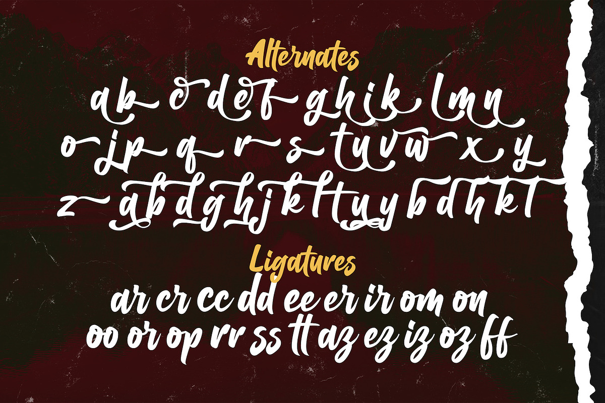 Balhgi Rizetons - Bold Script Font, a Script Font by StringLabs (Photo 10 of 10)