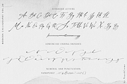 Balzak // Organic Calligraphy, a Script Font by PeachCreme (Thumbnail 11 of 12)