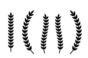 Laurel Vector Template