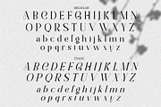 Half Love Serif Display Elegant, a Serif Font by Cut Story (Thumbnail 12 of 14)